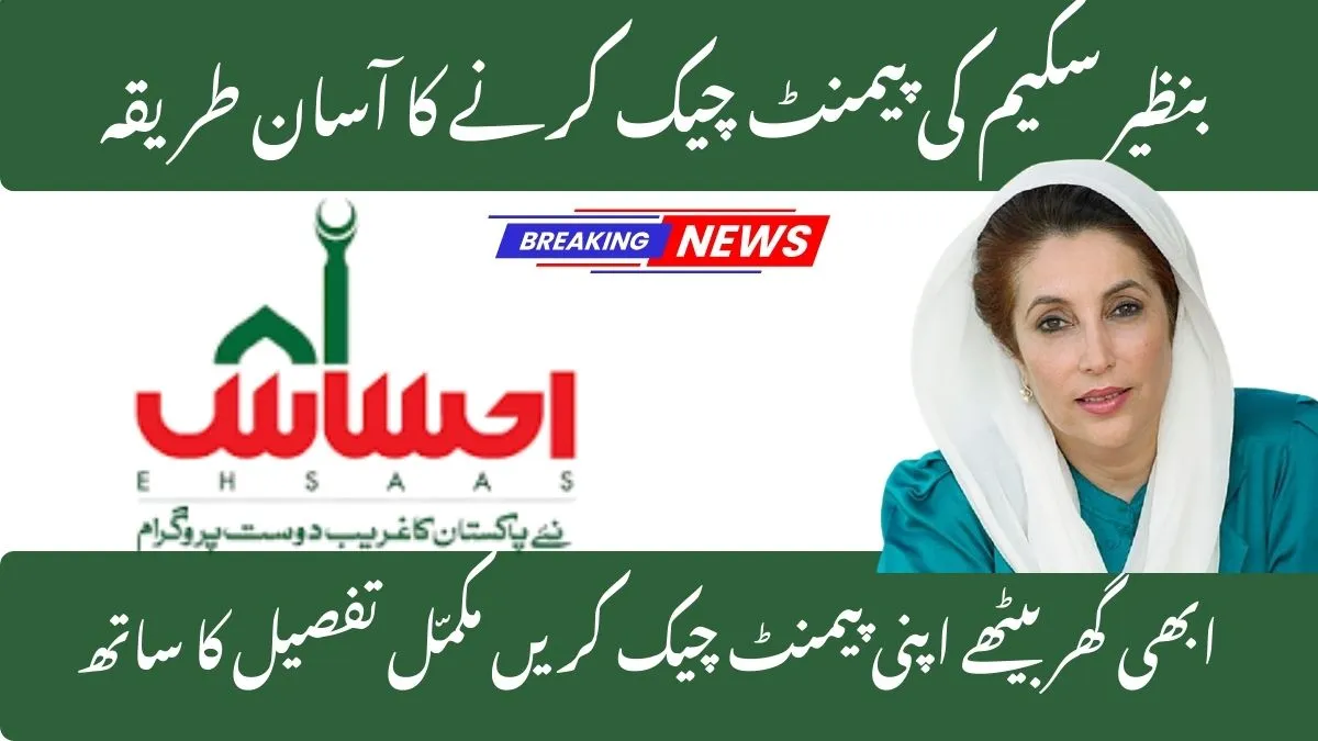 BISP 8171 Payment Check 2025 Online Portal and SMS Guide