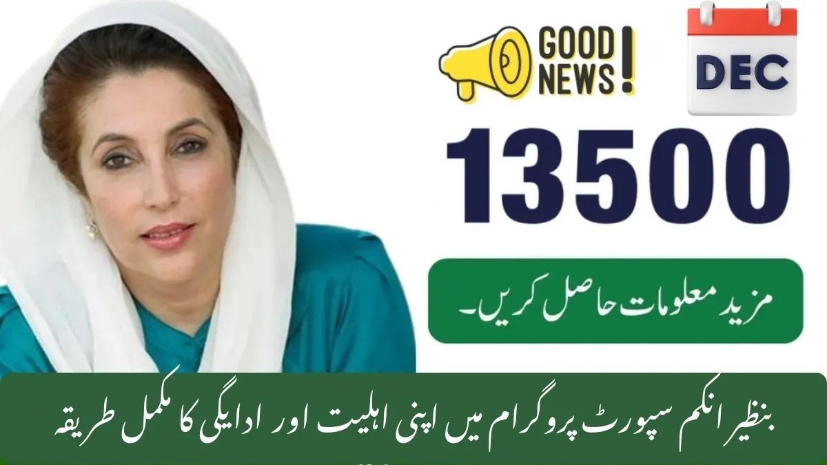 BISP 8171 Payment Eligibility Criteria 2025