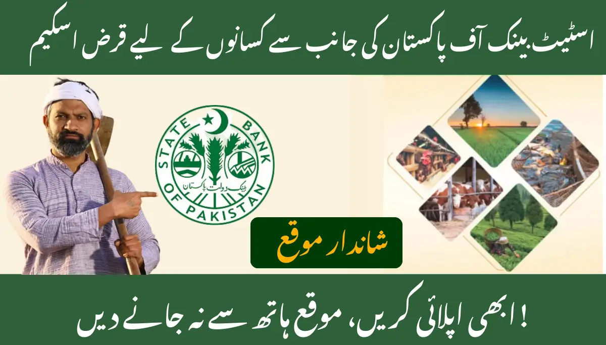 Zarkhez e Asaan Digital Qarza 2025: Complete Guide to Digital Agriculture Loans in Pakistan